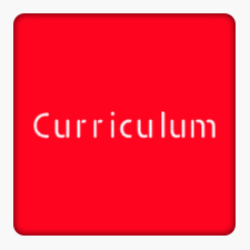 Curriculum